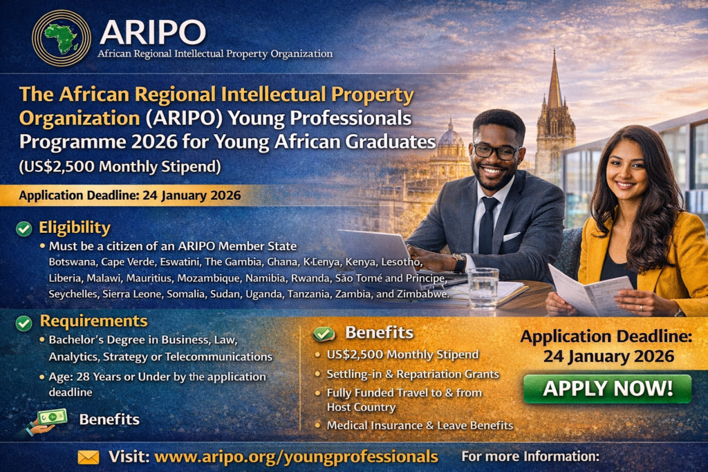 Young professional program for African Young Graduates