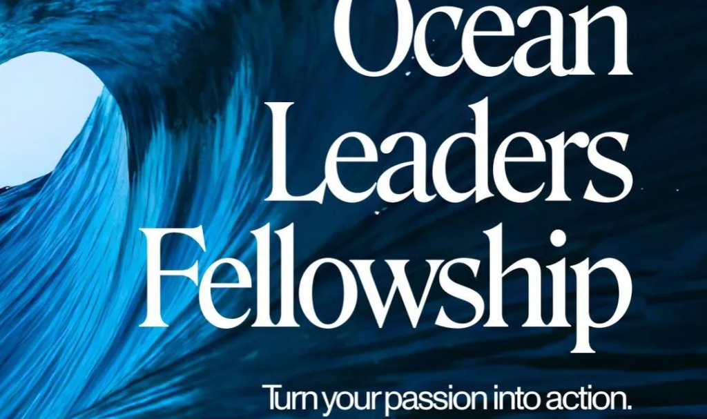 Sustainable Ocean Alliance Ocean Leaders Fellowship 2026 | Apply from Nigeria & Africa Sustainable Ocean Alliance Ocean Leaders Fellowship 2026 | Apply from Nigeria & Africa