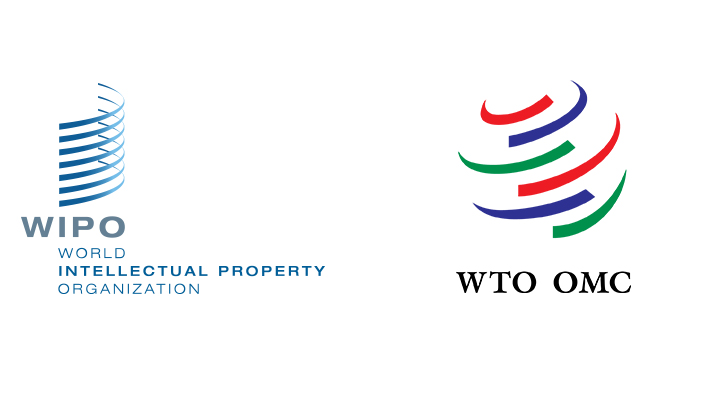 Apply for the 2026 WIPO-WTO Intellectual Property Colloquium Apply for the 2026 WIPO-WTO Intellectual Property Colloquium