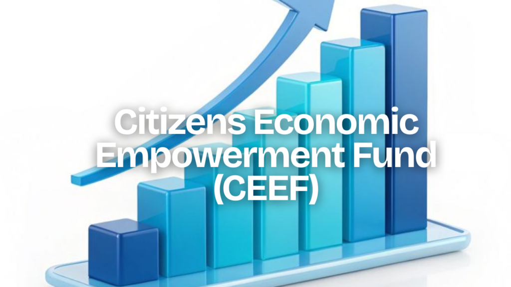 Citizens Economic Empowerment Fund (CEEF)